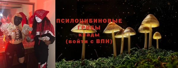 соль ск Бронницы