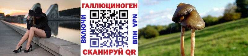 ОМГ ОМГ рабочий сайт  Минеральные Воды  Псилоцибиновые грибы ЛСД 